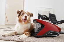 Miele-Blizzard-CX1